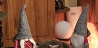 Luna u.Freunde