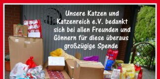 Sehr erfolgreiche Weihnachtsspendenaktion für Katzenreich e.V.