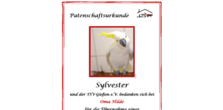 Tierpatenschaft verschenken