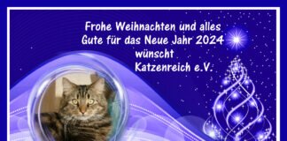 Frohe Weihnachten für alle Leser wünscht Katzenreich e.V.