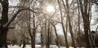 Buscker Schlosspark im herlichen Schnee…