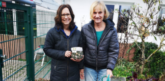 HUNDETHEMEN – ANDREA SCHMIDT – HUNDEFITNESS GIESSEN