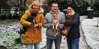 750,- Euro Spende für das Tierheim