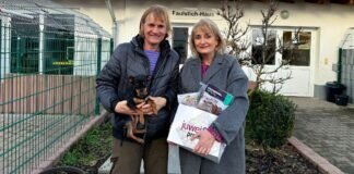 Statt Geschenke Spenden fürs Tierheim.