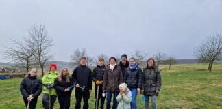 „Festmahl“ für Biene, Hummel & Co.