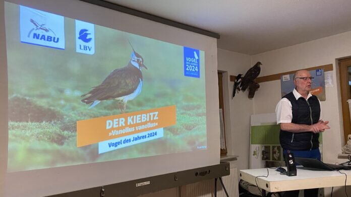 Vortrag-Kiebitz-breit