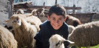 Tiere fressen Armut auf – Gießener Hilfswerk Global Aid Network ruft zu einer besonderen Spendenaktion für Armenien auf