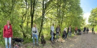 Sozialtraining für unsere Hunde