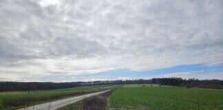 Cannabis statt Fotovoltaikanlage in Climbach: Ein Paradigmenwechsel „ Aprilscherz“