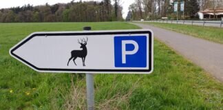 Der “Hirschparkplatz” beim Klosterwald Arnsburg