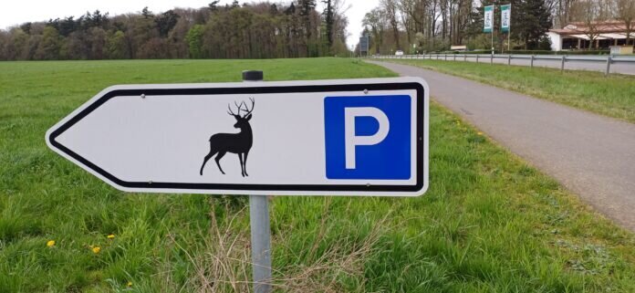 Hirschparkplatz 20240407_181005