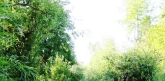 Wie verändert das 1,5-Grad-Ziel von Paris unseren Alltag?