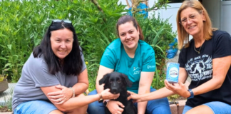 Erfolgreiche Spenden-Pilgertour zugunsten des Tierheims Gießen: 370,- Euro gesammelt