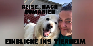 Reise nach Rumänien