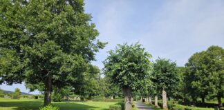 Bürgermeister-Sommertour: Ein voller Erfolg für Allendorf (Lumda)