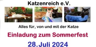 Sommerfest vom Katzenreich e.V.