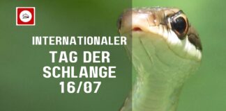 Welttag der Schlange 16.07. 🐍