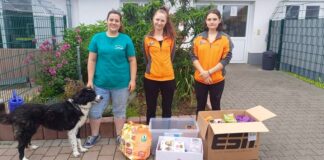 Day Night Sports Gießen engagiert sich aktiv für das Tierheim