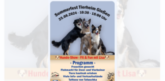 Sommerfest Programm