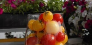 Tomatencocktail,gesund und lecker ;)