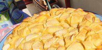 Feiner Apfelkuchen mal schnell gemacht