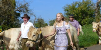 Bessinger Almabtrieb