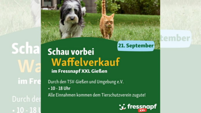 Design ohne Titel