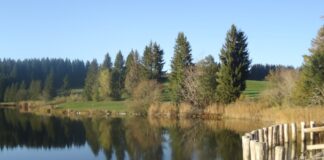 Herbst im Alpenvorland – Vom Eschacher Weiher zum Schwarzen Grat