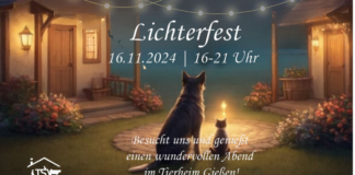 Lichterfest im Tierheim