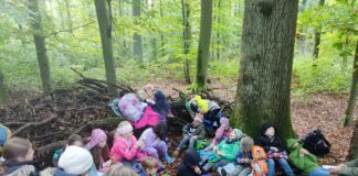 Waldbaden mit allen Sinnen genossen