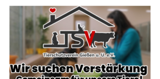 WIR SUCHEN VERSTÄRKUNG