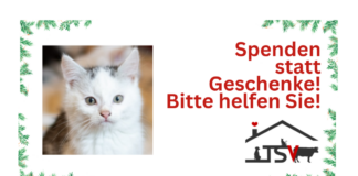SPENDEN STATT GESCHENKE!