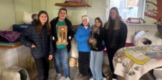 Beeindruckendes Engagement: 405,64 € für das Tierheim durch junge Spenderinnen