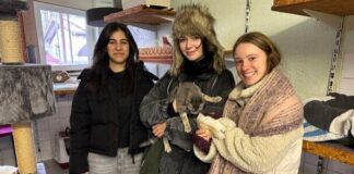 Nikolaus-Aktion der Ricarda-Huch-Schule: Großzügige Spende für das Tierheim Gießen
