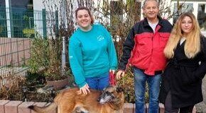 Hausmeisterservice Bruß spendet an das Tierheim