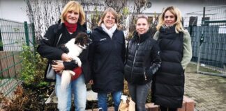500,- € Spende für das Tierheim