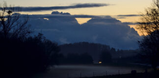 Abendstimmung im Wiesengrund – in der Au – nahe Äschersbach