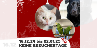 Besuchszeiten im Tierheim 16.12.2024 – 02.01.2025