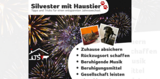 Silvester und Haustiere: So bringen Sie Ihre Lieblinge sicher durch die lauteste Nacht des Jahres