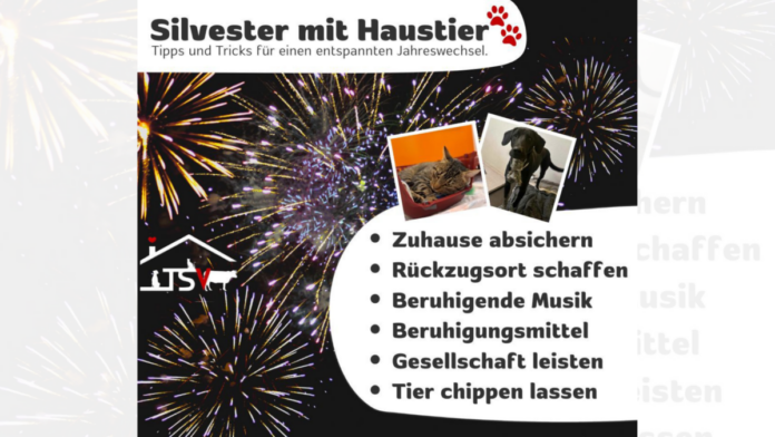 Design ohne Titel (8)