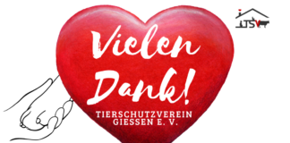 VIELEN DANK!