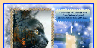 Katzenreich e.V. wünscht allen Lesern Frohe Weihnachten