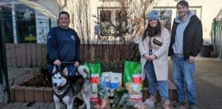 160,- € Spende und Futter für das Tierheim: Celine Danys Einsatz