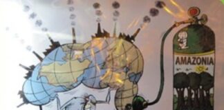 Projektarbeit im Urwald von Peru von 1988 bis heute