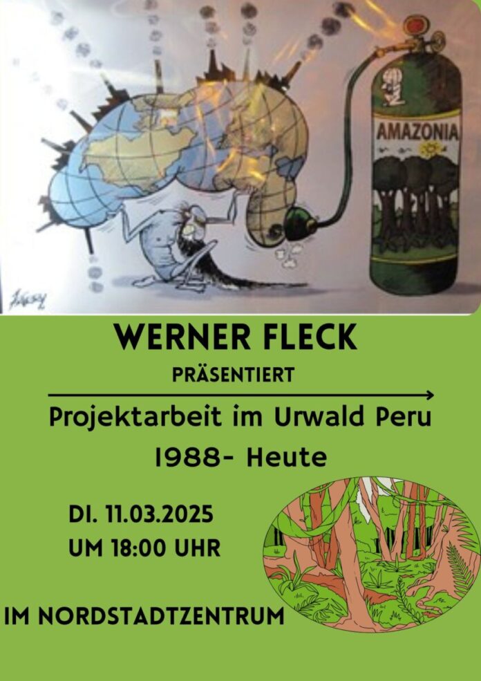 Projektarbeit im Urwald Peru