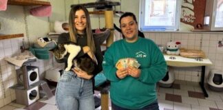 Antonia Möller hatte eine tolle Idee: 700,00 € Spende für das Tierheim gesammelt