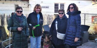 52er Mädels spenden für das Tierheim