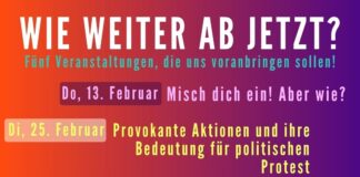 „Wie weiter ab jetzt!“ – Großdemo am 8.2. soll kein Einzelereignis sein: Mehrere Veranstaltungen zu wirkungsvollen Aktionsformen