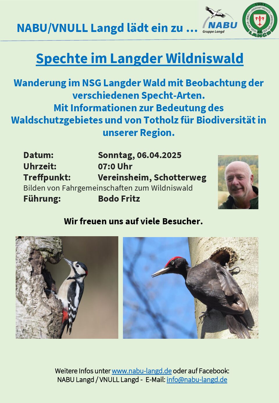 Spechte im Langder Wildniswald