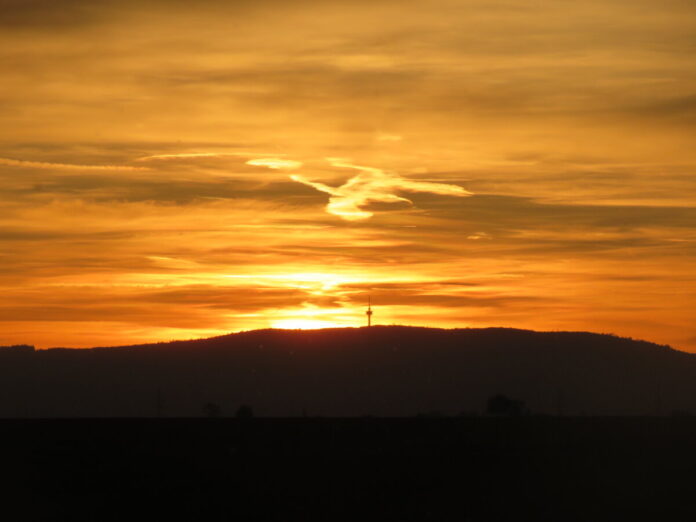 IMG_4515 (2)